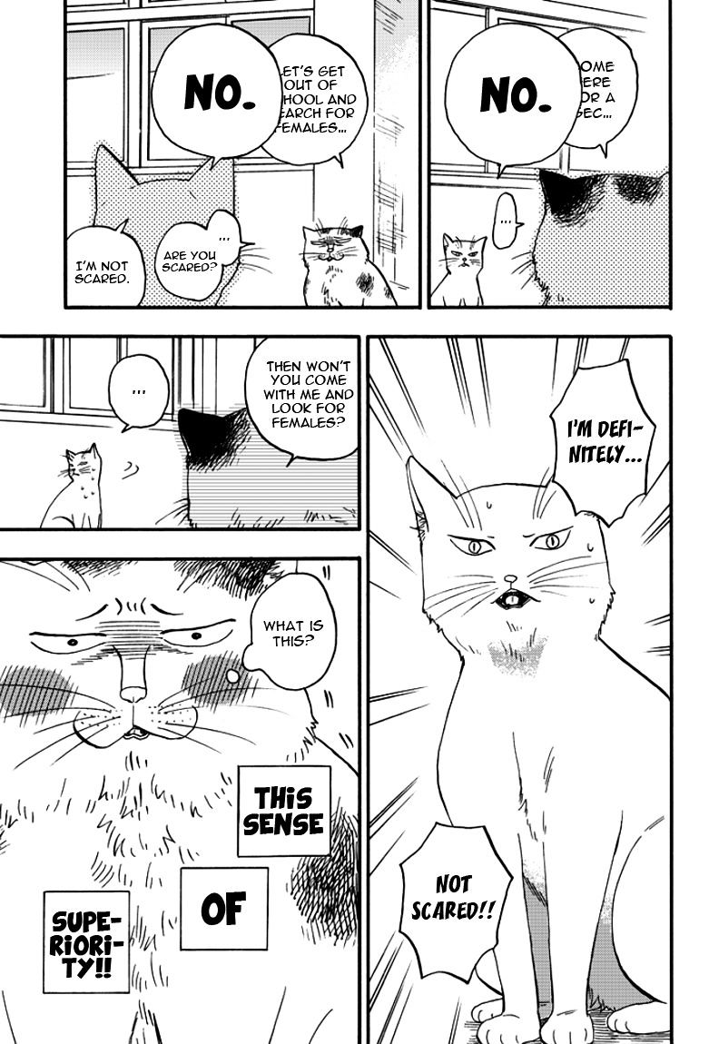 Ore Wa Busamen - Neko Tsudzuri Chapter 2 #15