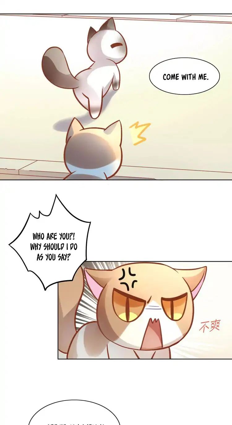 Under The Paws Of Cats Chapter 8 #12