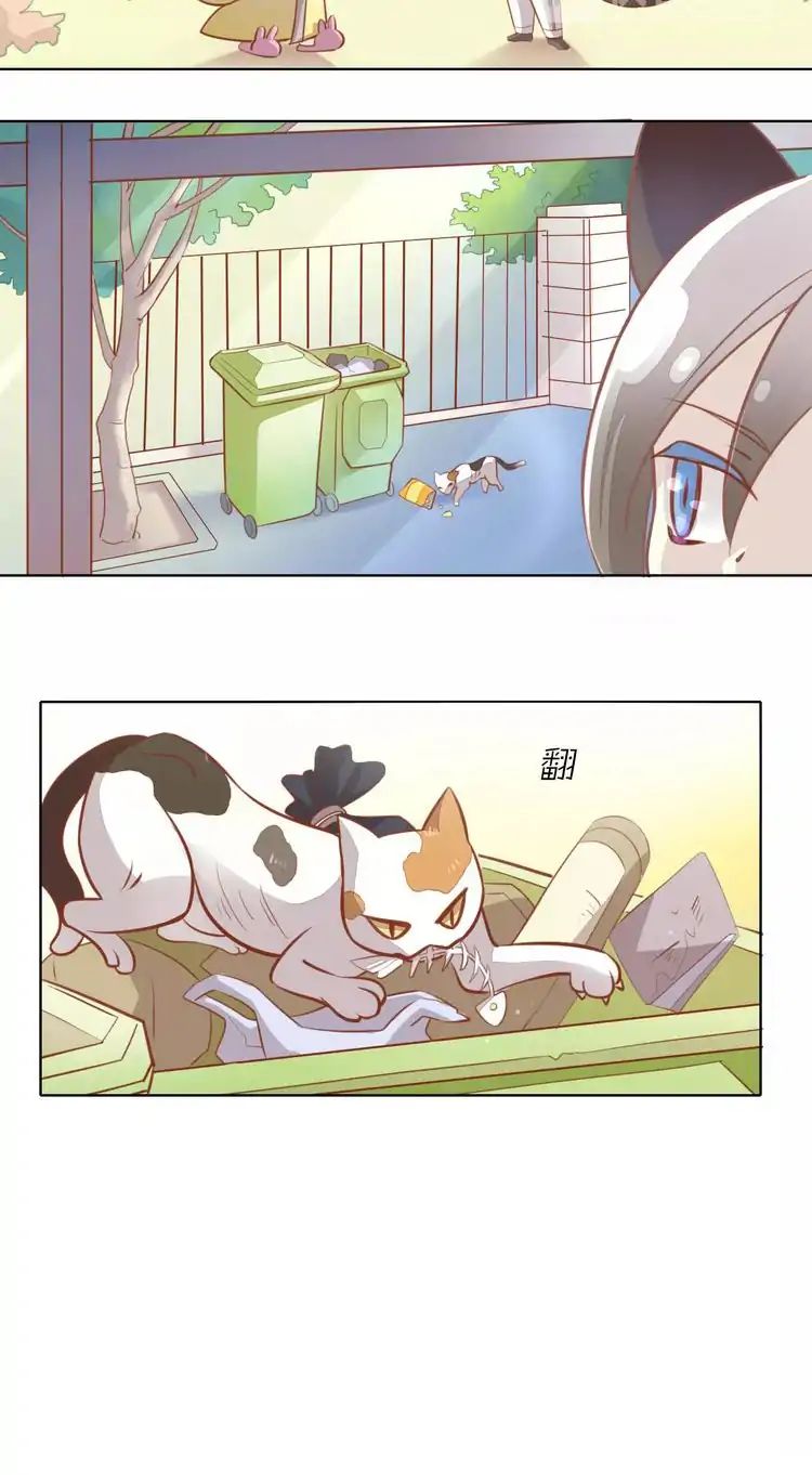 Under The Paws Of Cats Chapter 8 #31