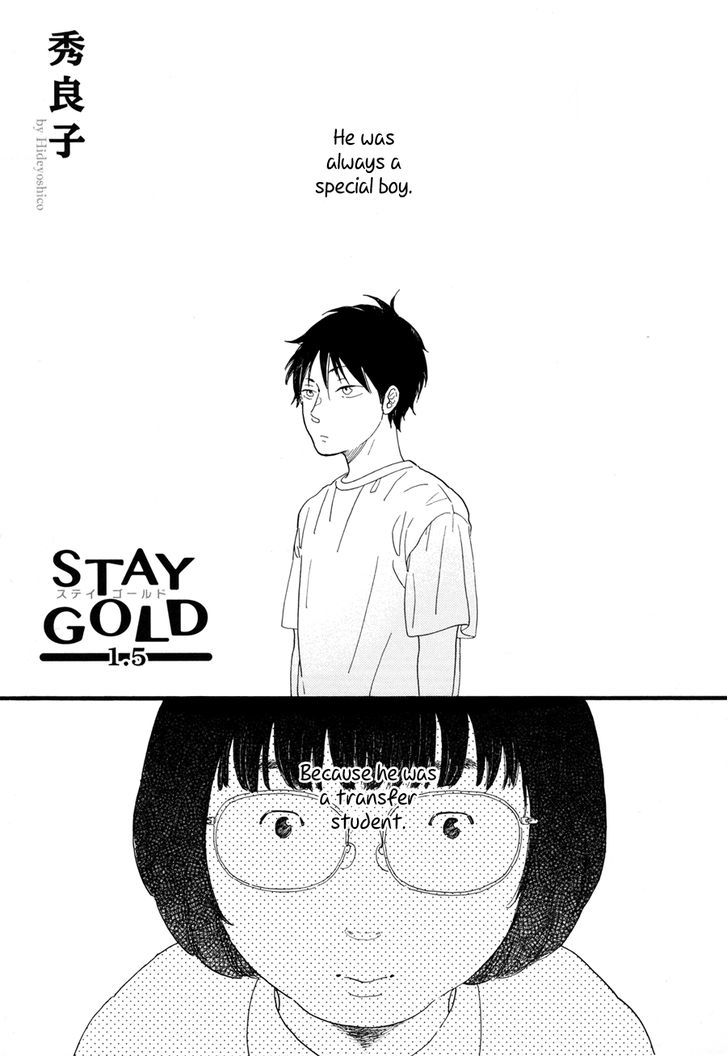 Stay Gold (Hideyoshico) Chapter 1.5 #2