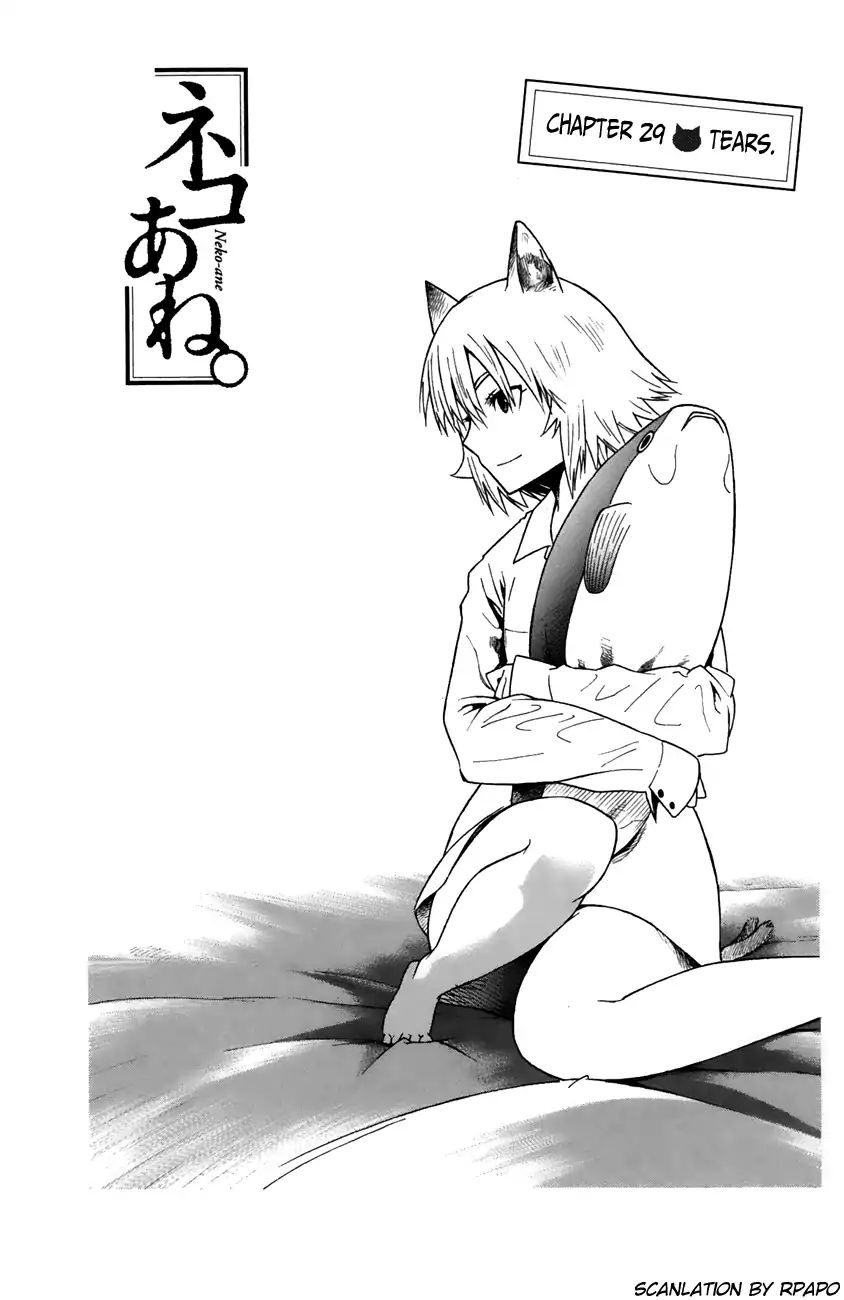 Neko Ane Chapter 29 #1