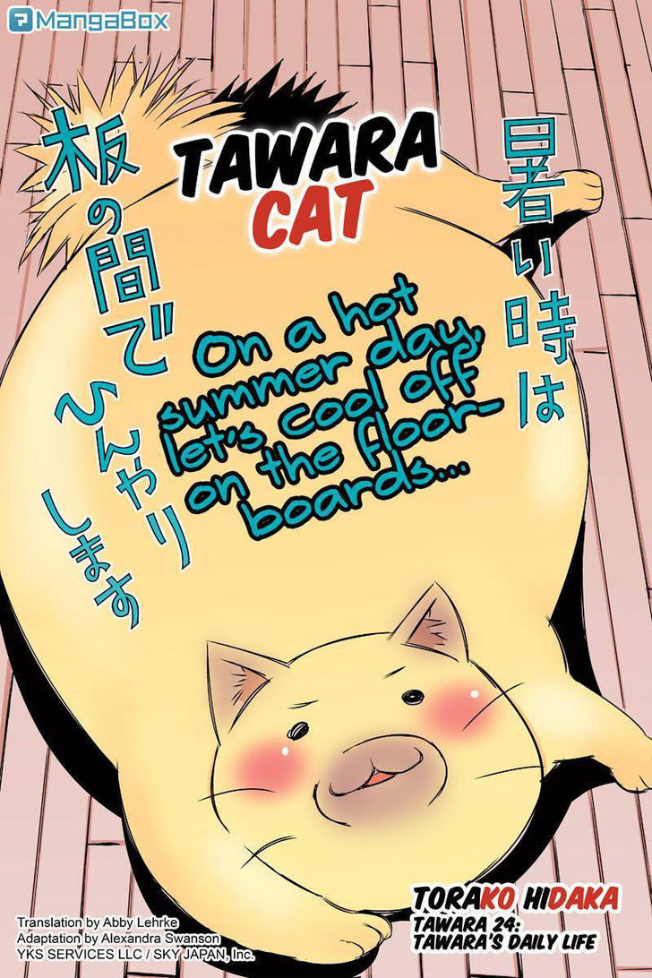 Tawara Neko To Machigai Jinsei Chapter 24 #2