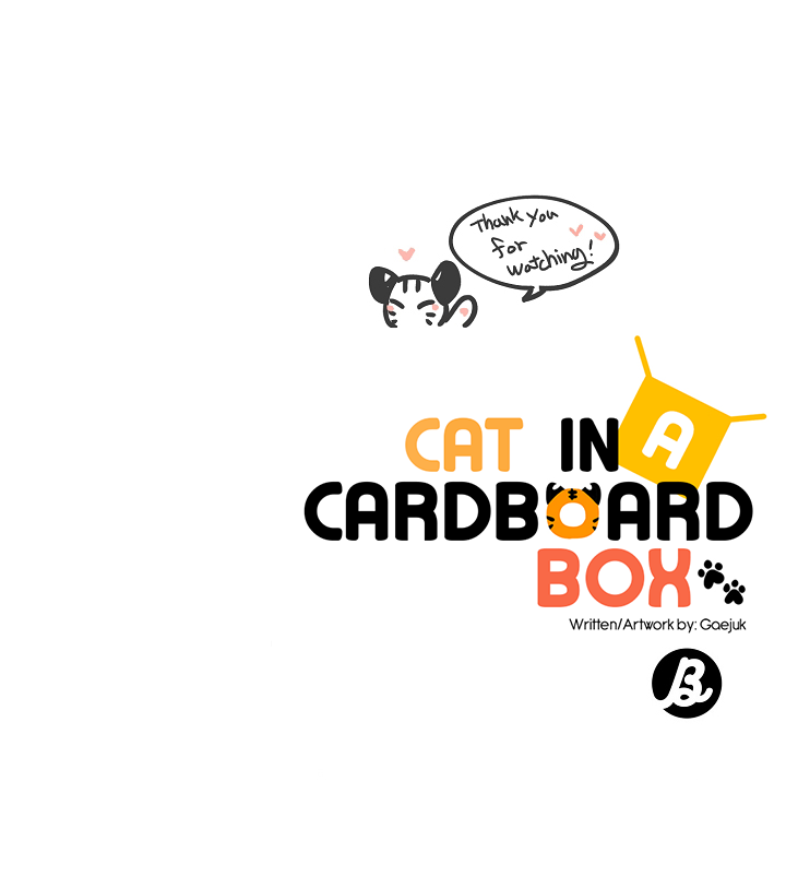 Cat In A Cardboard Box Chapter 30 #24