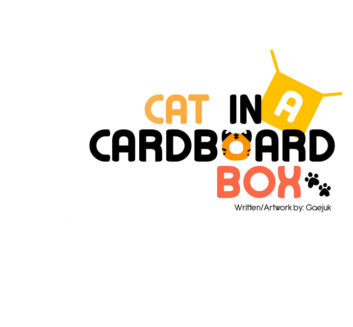 Cat In A Cardboard Box Chapter 29 #24