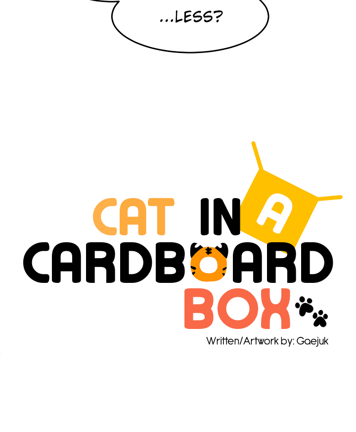 Cat In A Cardboard Box Chapter 16 #23