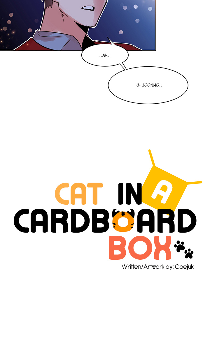 Cat In A Cardboard Box Chapter 10 #22