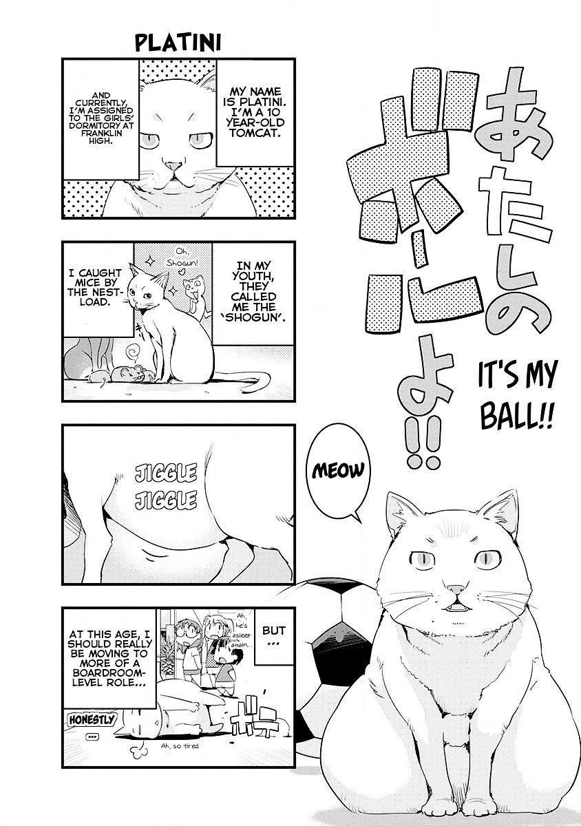 Mai Ball! Chapter 42 #22