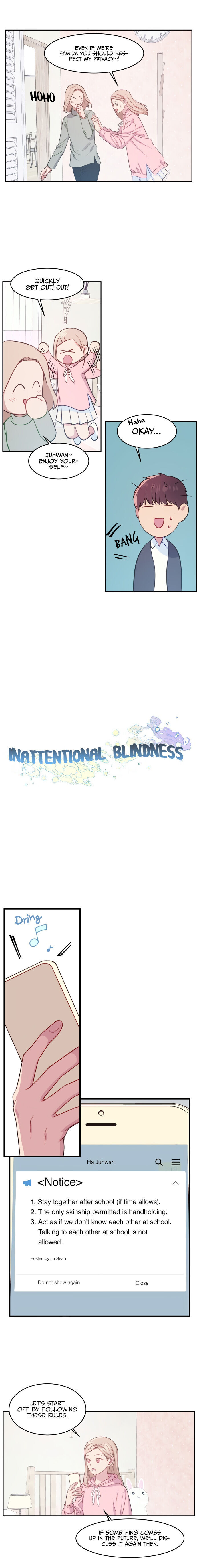 Inattentional Blindness Chapter 11 #6