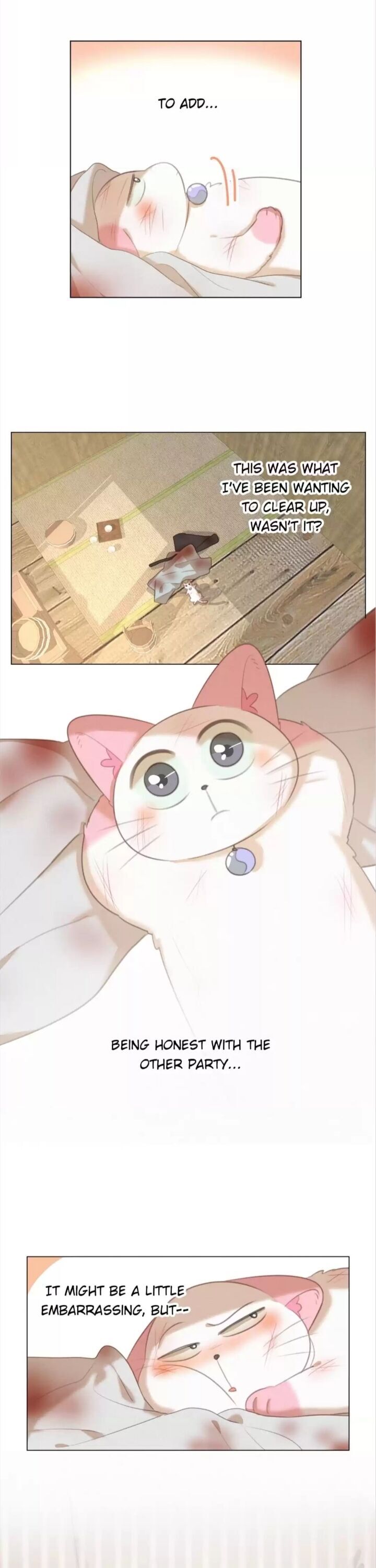 A Cat's World Chapter 89 #13