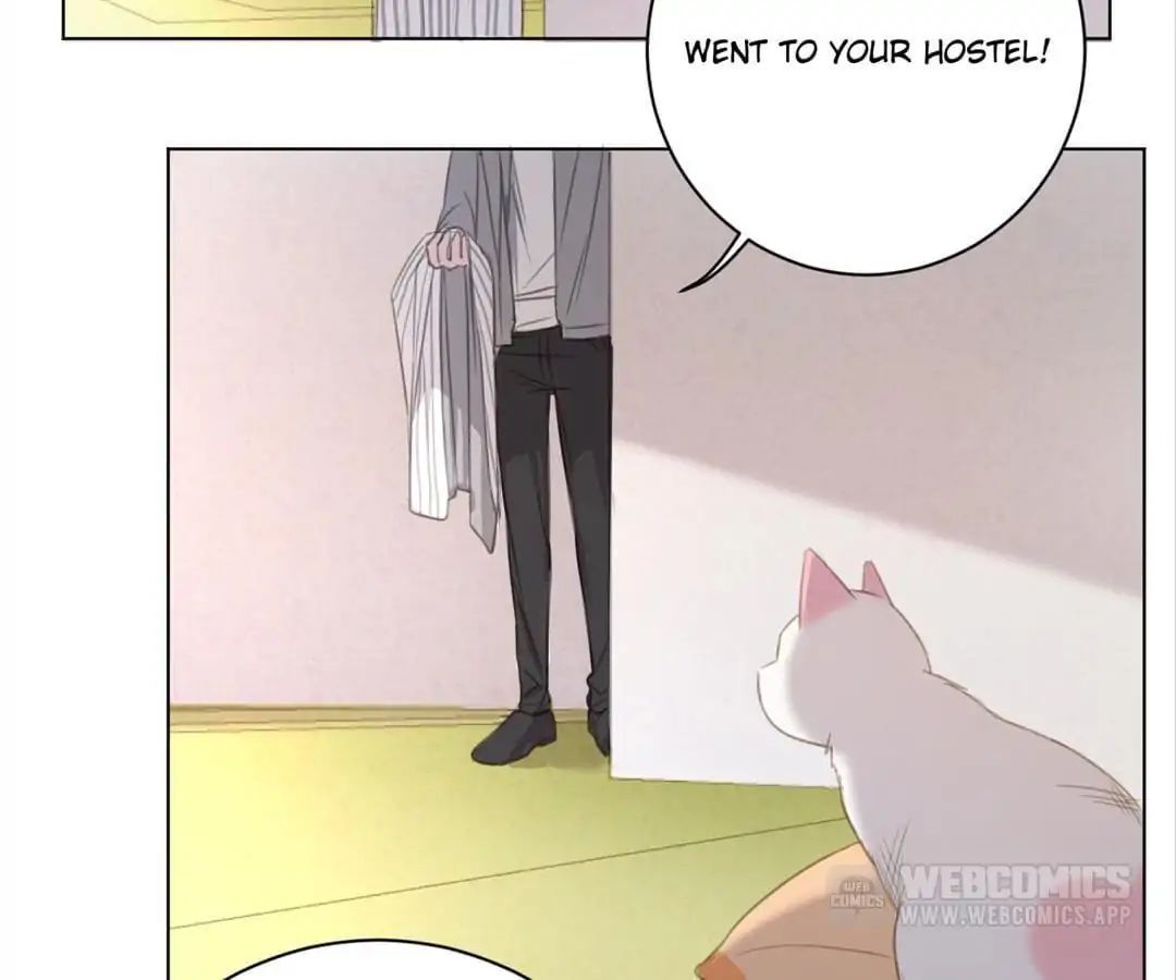 A Cat's World Chapter 13 #62