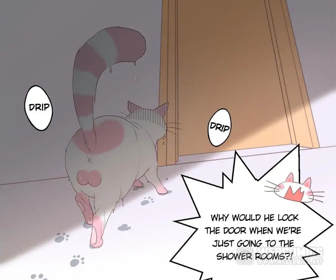 A Cat's World Chapter 12 #22