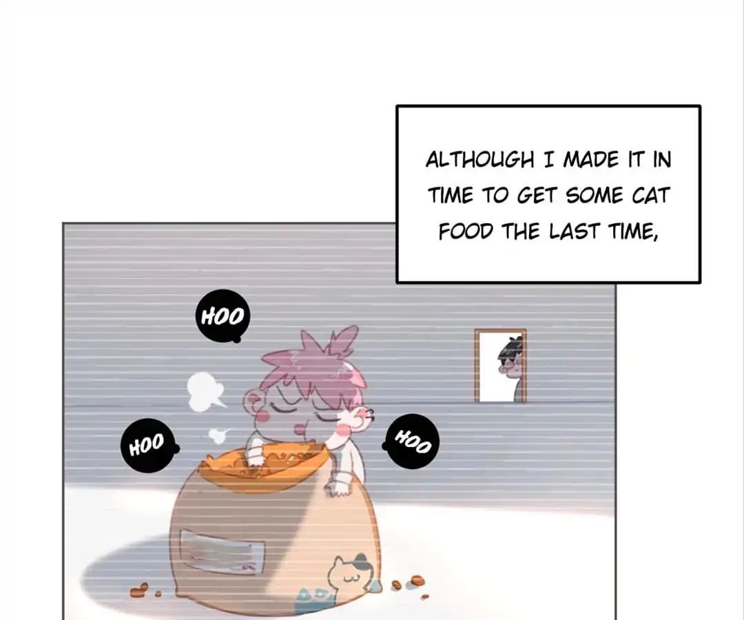 A Cat's World Chapter 10 #5