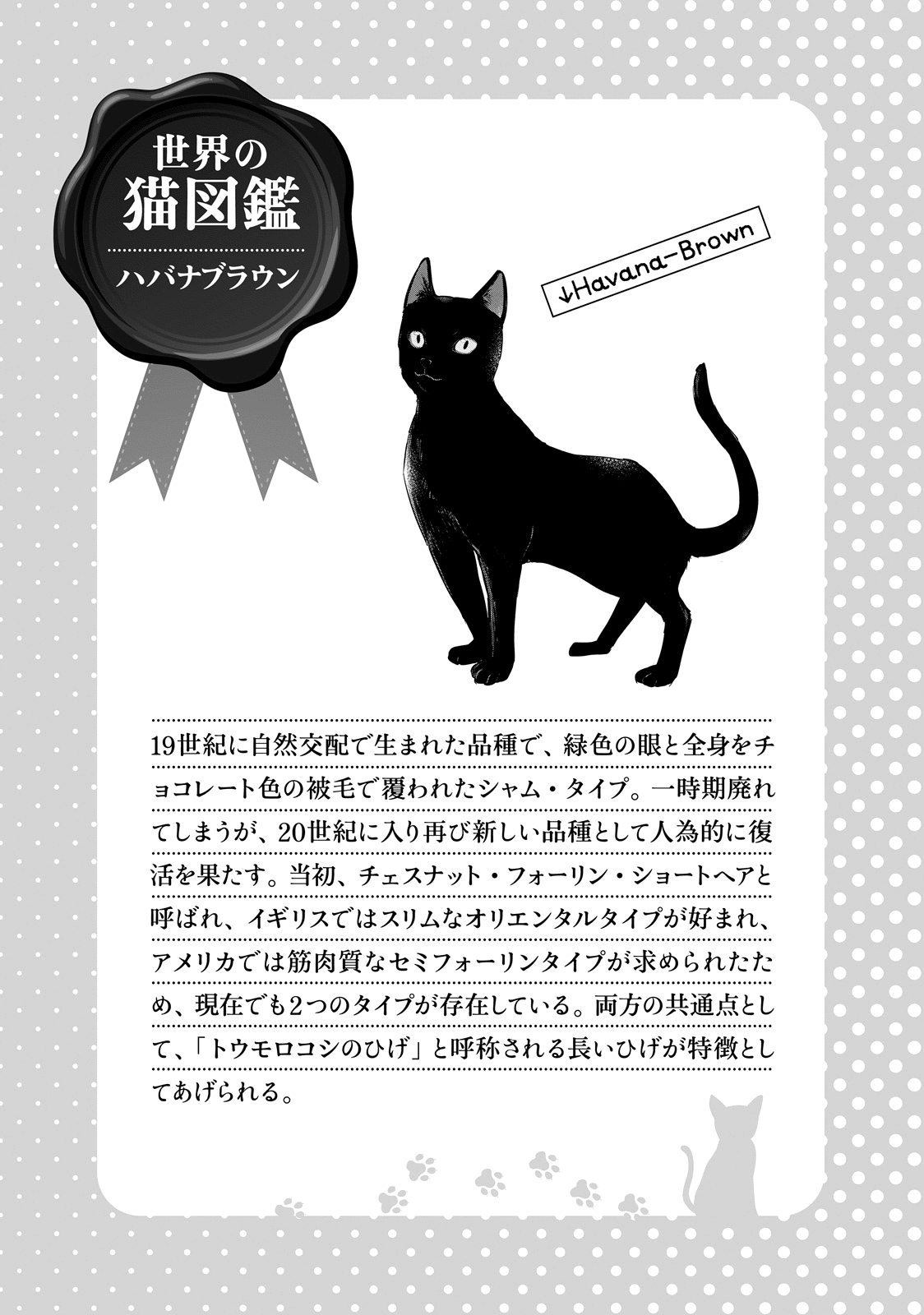 Hentai Ouji To Warawanai Neko. Nya! Chapter 46 #9