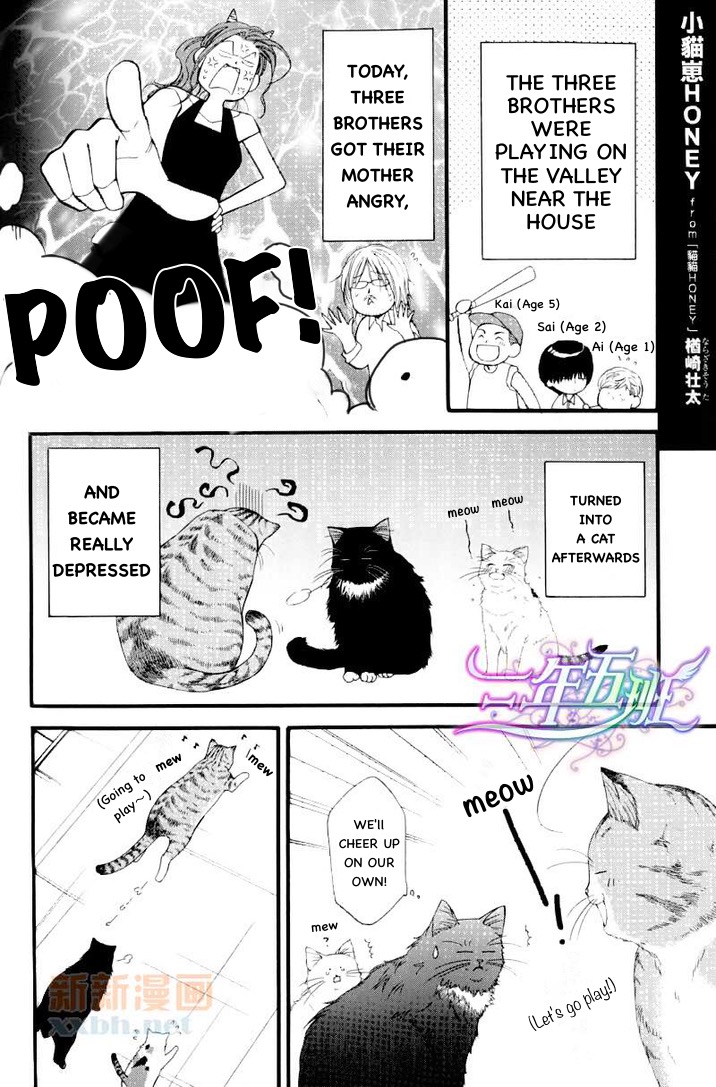 Neko Neko Honey Chapter 6.5 #1